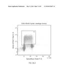 DUAL LABELING METHODS FOR MEASURING CELLULAR PROLIFERATION diagram and image