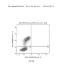 DUAL LABELING METHODS FOR MEASURING CELLULAR PROLIFERATION diagram and image