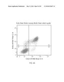 DUAL LABELING METHODS FOR MEASURING CELLULAR PROLIFERATION diagram and image