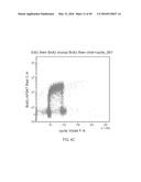 DUAL LABELING METHODS FOR MEASURING CELLULAR PROLIFERATION diagram and image