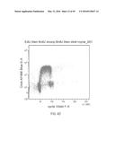 DUAL LABELING METHODS FOR MEASURING CELLULAR PROLIFERATION diagram and image