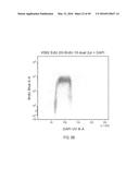 DUAL LABELING METHODS FOR MEASURING CELLULAR PROLIFERATION diagram and image