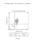 DUAL LABELING METHODS FOR MEASURING CELLULAR PROLIFERATION diagram and image