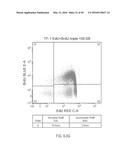 DUAL LABELING METHODS FOR MEASURING CELLULAR PROLIFERATION diagram and image