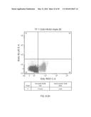 DUAL LABELING METHODS FOR MEASURING CELLULAR PROLIFERATION diagram and image