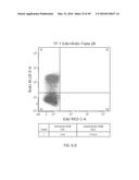 DUAL LABELING METHODS FOR MEASURING CELLULAR PROLIFERATION diagram and image