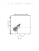 DUAL LABELING METHODS FOR MEASURING CELLULAR PROLIFERATION diagram and image