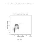 DUAL LABELING METHODS FOR MEASURING CELLULAR PROLIFERATION diagram and image