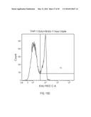 DUAL LABELING METHODS FOR MEASURING CELLULAR PROLIFERATION diagram and image