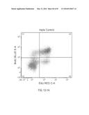 DUAL LABELING METHODS FOR MEASURING CELLULAR PROLIFERATION diagram and image