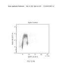 DUAL LABELING METHODS FOR MEASURING CELLULAR PROLIFERATION diagram and image