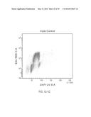 DUAL LABELING METHODS FOR MEASURING CELLULAR PROLIFERATION diagram and image