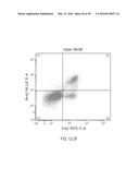 DUAL LABELING METHODS FOR MEASURING CELLULAR PROLIFERATION diagram and image