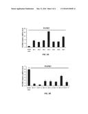 METHODS FOR DETECTING AND TREATING VARIANTS OF SEBORRHEIC KERATOSES diagram and image