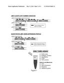 COMPOSITIONS AND METHODS FOR MULTIMODAL ANALYSIS OF CMET NUCLEIC ACIDS diagram and image