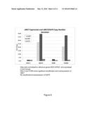 COMPOSITIONS AND METHODS FOR MULTIMODAL ANALYSIS OF CMET NUCLEIC ACIDS diagram and image