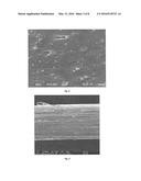 Porous Polyolefin Fibers diagram and image