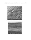 Porous Polyolefin Fibers diagram and image