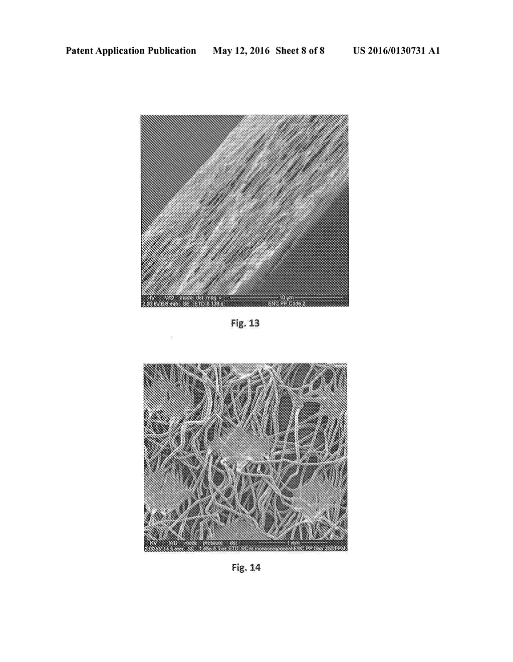 Porous Polyolefin Fibers - diagram, schematic, and image 09