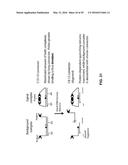 Thermally Resolved Molecule Assays diagram and image