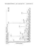 ION GENERATION USING MODIFIED WETTED POROUS MATERIALS diagram and image