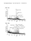 ION GENERATION USING MODIFIED WETTED POROUS MATERIALS diagram and image