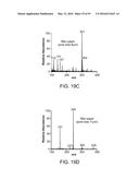 ION GENERATION USING MODIFIED WETTED POROUS MATERIALS diagram and image