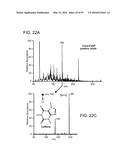 ION GENERATION USING MODIFIED WETTED POROUS MATERIALS diagram and image