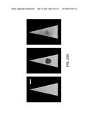 ION GENERATION USING MODIFIED WETTED POROUS MATERIALS diagram and image