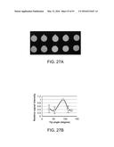 ION GENERATION USING MODIFIED WETTED POROUS MATERIALS diagram and image