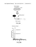 ION GENERATION USING MODIFIED WETTED POROUS MATERIALS diagram and image