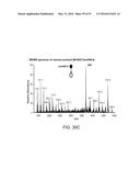 ION GENERATION USING MODIFIED WETTED POROUS MATERIALS diagram and image