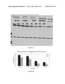 NOVEL ANTIGEN BINDING PROTEIN AND ITS USE AS ADDRESSING PRODUCT FOR THE     TREATMENT OF CANCER diagram and image