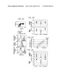 DETECTION AND TREATMENT OF AUTOIMMUNE DISORDERS diagram and image