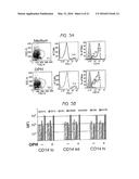 DETECTION AND TREATMENT OF AUTOIMMUNE DISORDERS diagram and image