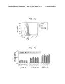 DETECTION AND TREATMENT OF AUTOIMMUNE DISORDERS diagram and image