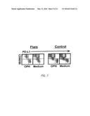 DETECTION AND TREATMENT OF AUTOIMMUNE DISORDERS diagram and image