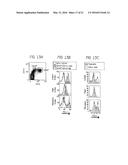 DETECTION AND TREATMENT OF AUTOIMMUNE DISORDERS diagram and image