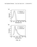 FLUORINATED POLYMER DOTS diagram and image