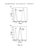 FLUORINATED POLYMER DOTS diagram and image