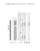 APPARATUS AND METHOD FOR FORMING BEAM FOR PROCESSING RADAR SIGNAL diagram and image