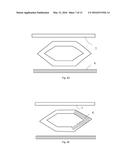 Ring Cavity Device and its Fabrication Method Thereof diagram and image