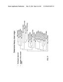 DESIGN AND CONSTRUCTION OF DIVERSE SYNTHETIC PEPTIDE AND POLYPEPTIDE     LIBRARIES diagram and image