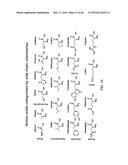 DESIGN AND CONSTRUCTION OF DIVERSE SYNTHETIC PEPTIDE AND POLYPEPTIDE     LIBRARIES diagram and image