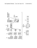 SYSTEM, METHOD AND COMPUTER READABLE MEDIUM FOR RAPID DNA IDENTIFICATION diagram and image