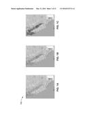 FIRE URGENCY ESTIMATOR IN GEOSYNCHRONOUS ORBIT (FUEGO) diagram and image