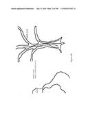 POWER MANAGEMENT FOR HEAD WORN COMPUTING diagram and image