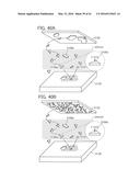 LIGHT-EMITTING DEVICE diagram and image