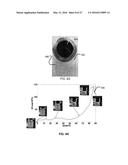 RATE-SENSITIVE AND SELF-RELEASING BATTERY CELLS AND BATTERY-CELL     STRUCTURES AS STRUCTURAL AND/OR ENERGY-ABSORBING VEHICLE COMPONENTS diagram and image