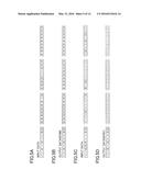 DATA TRANSMISSION/RECEPTION SYSTEM, TRANSMISSION APPARATUS AND RECEPTION     APPARATUS diagram and image